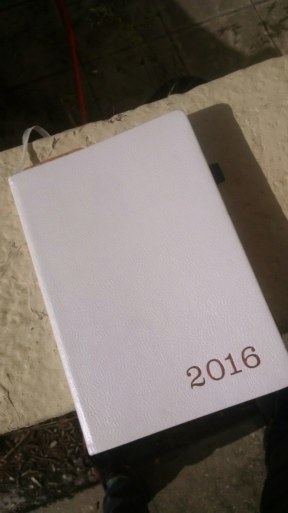 Shoutout to Writer's Atelier. I won this planner in a contest of theirs.